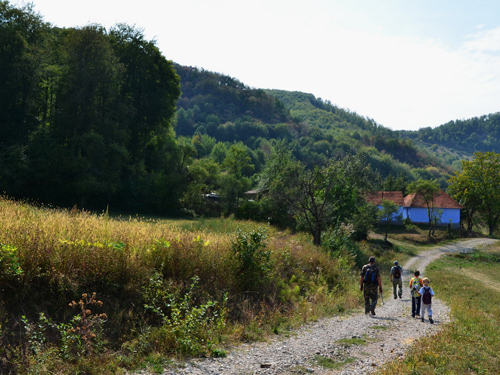 Foto Din Saua Stogu (c) Lucian Petru Goja